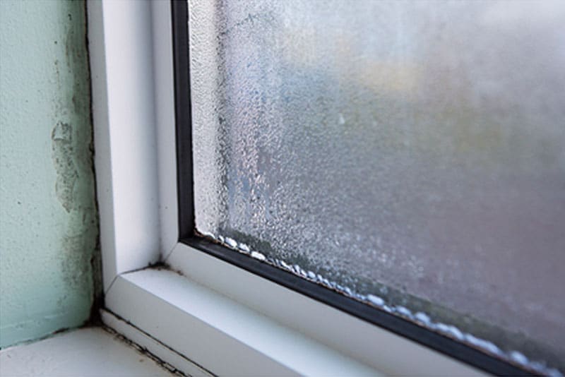 What To Do When Your Windows Are Leaking Air